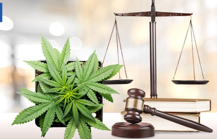 alabama’s-cannabis-industry-faces-uncertainty-as-controversy-and-lawsuits-rock-its-licensing-program