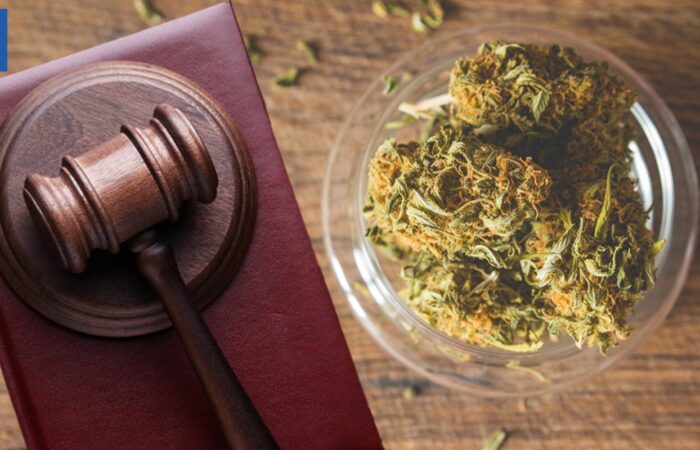 michigan-edibles-producer-fined-$100k-and-loses-license-after-child-poisoning-incident