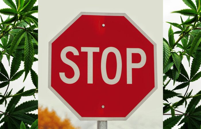 weed-is-legal-in-this-southern-state-but-no-one-can-buy-it-anytime-soon,-here’s-why