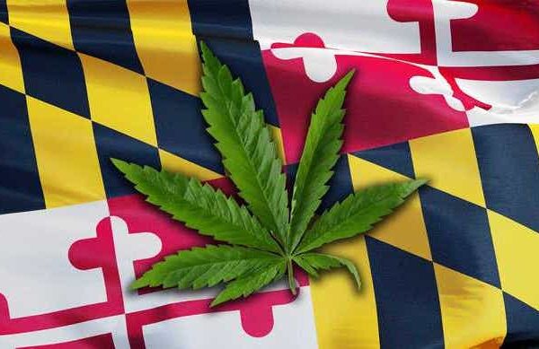 $40m-earmarked-for-maryland’s-social-equity-cannabis-program-to-help-level-the-playing-field