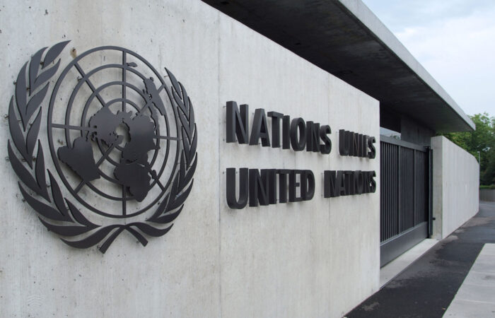 uedf united nations